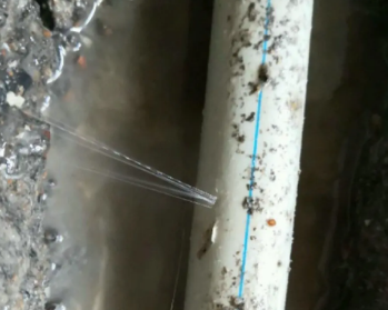 本溪市卫生间测漏水多少钱